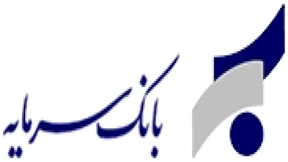 تجربه مدیریتی در خدمت اصلاح و بازآفرینی بانک سرمایه