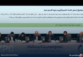 رشد درآمد، توسعه پروژه‌ها و ابهام در آینده خوراک
